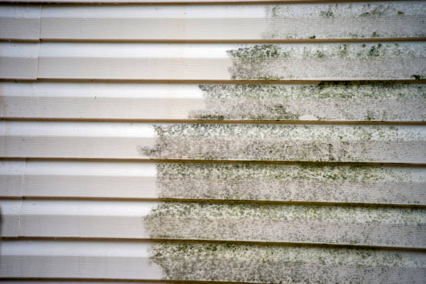 Best Wood Siding Installation  in Walker, MI