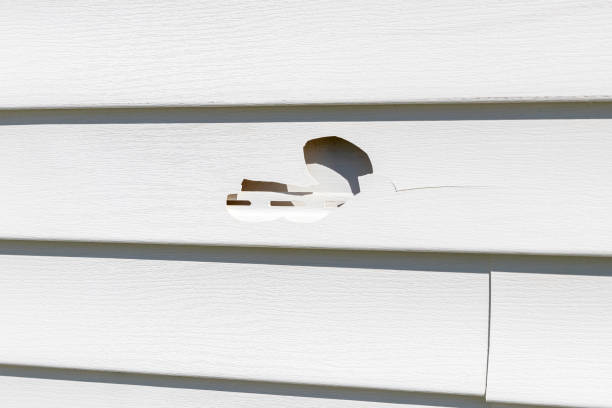 Best Siding for New Construction  in Walker, MI