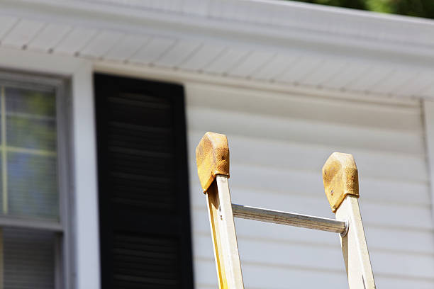 Best Fascia and Soffit Installation  in Walker, MI